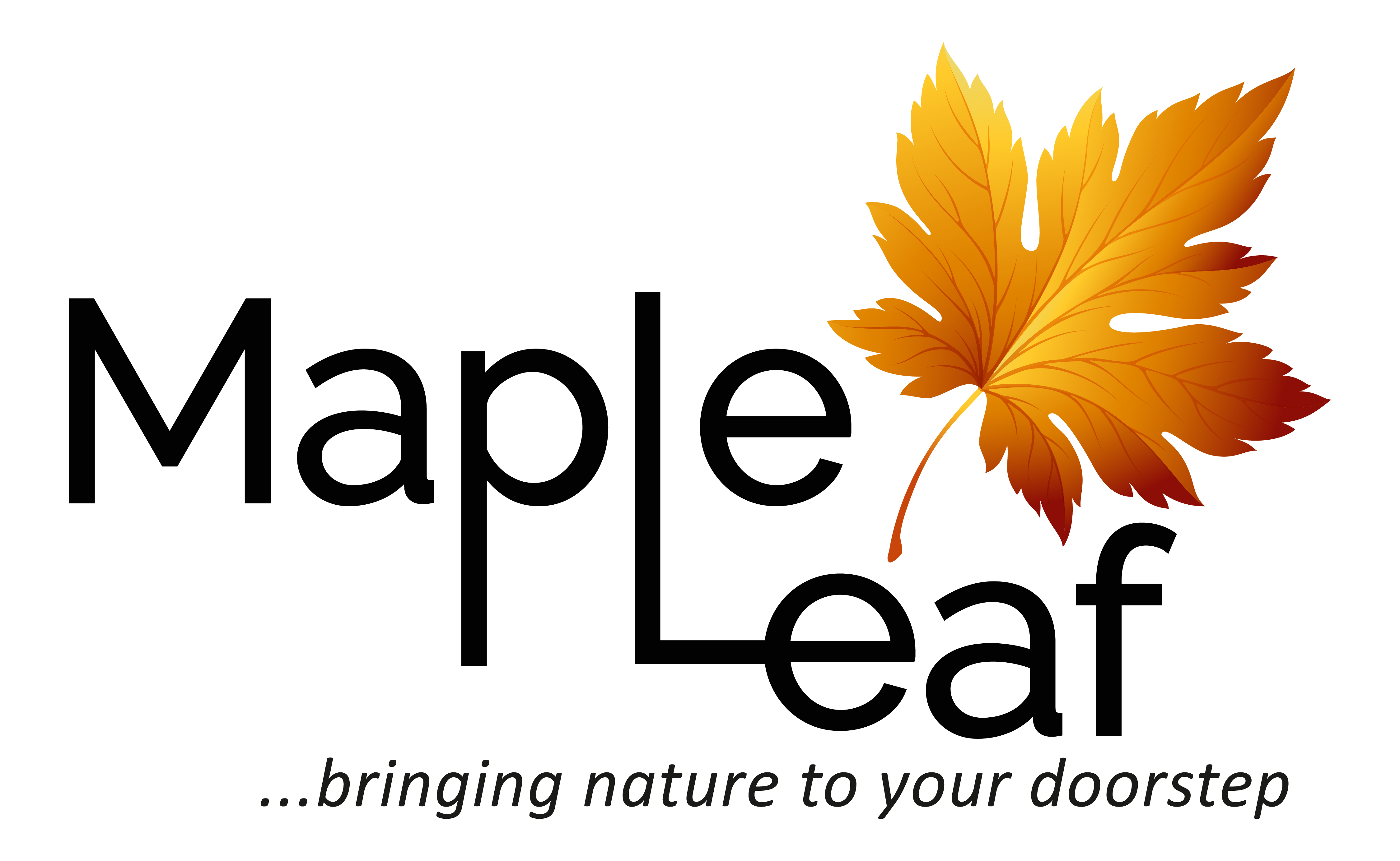 Maple Leaf Landscapes